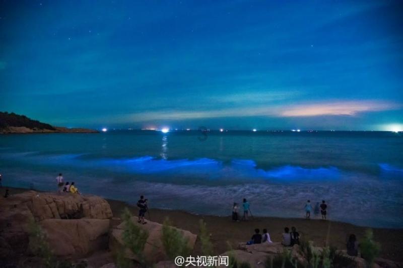 次元喵