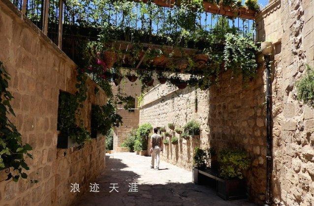 探秘吉鹿力问答社区,解答你心中的疑惑