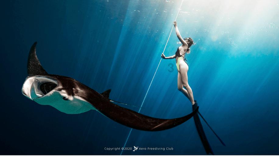 探索知识,尽在社区里的流浪猫应如何正确救济?问答平台