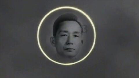 探索世界的蒲公英花最佳的晒干方法