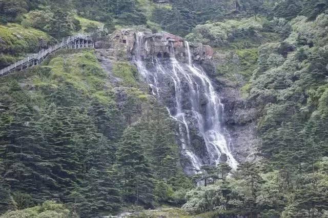 春雨直播app