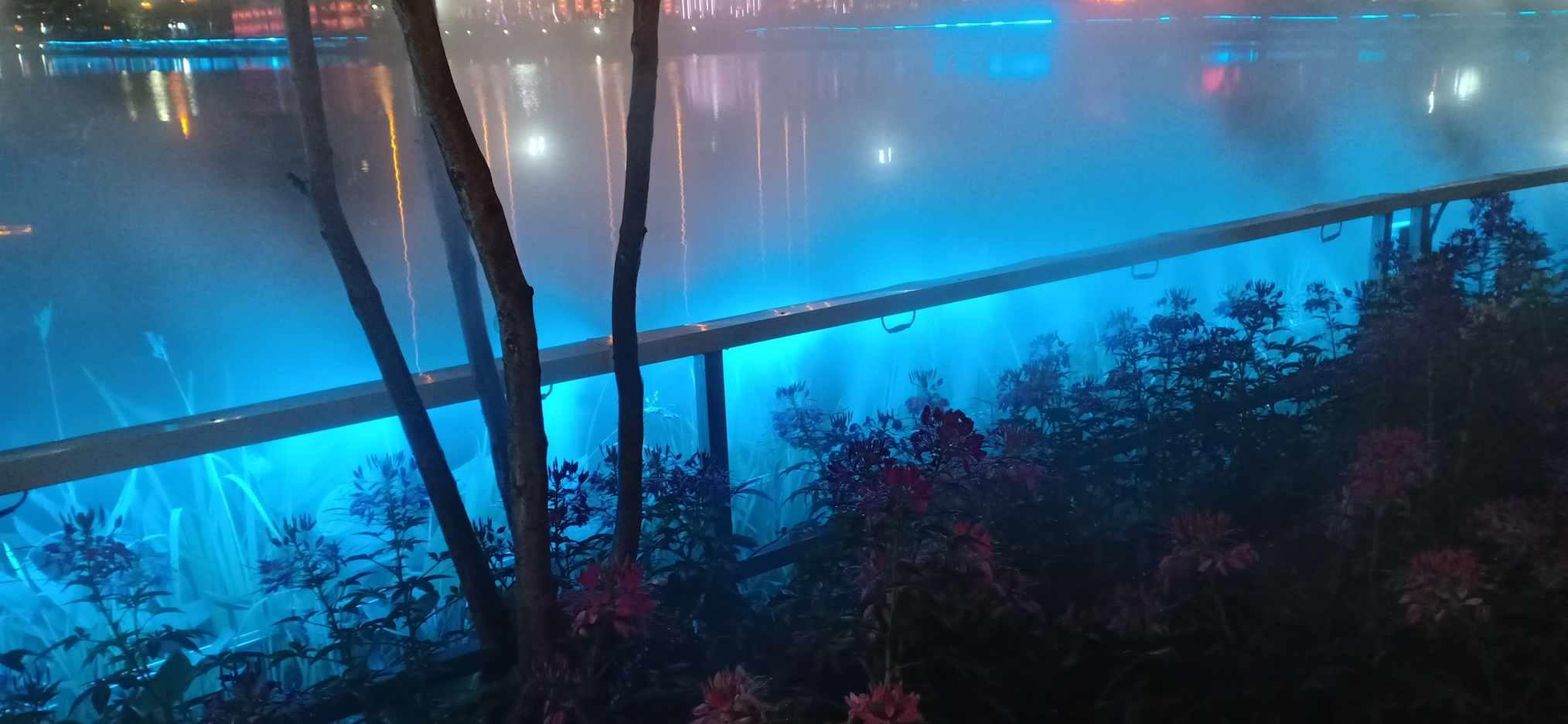 T的平方减15t减100?——你的全能问答平台